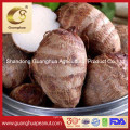 Factory Price Fresh Washed Taro with Best Taste